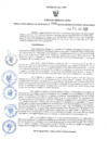 Vista preliminar de documento GRDS.206