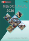 Vista preliminar de documento Indicadores de Desempeño - Memoria Anual 2020