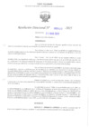Vista preliminar de documento RD-UGEL-SURCUBAMBA-2025-000413