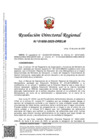 Vista preliminar de documento RDR-1858-2025-DRELM
