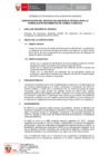 Vista preliminar de documento TDR REQ 2944