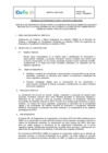 Vista preliminar de documento TDR REQ 2915