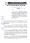 Vista preliminar de documento RDR 211-2025