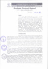 Vista preliminar de documento RDR 212-2025
