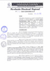 Vista preliminar de documento RDR 213-2025