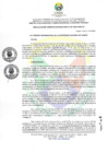 Vista preliminar de documento RCO N° 247-2025