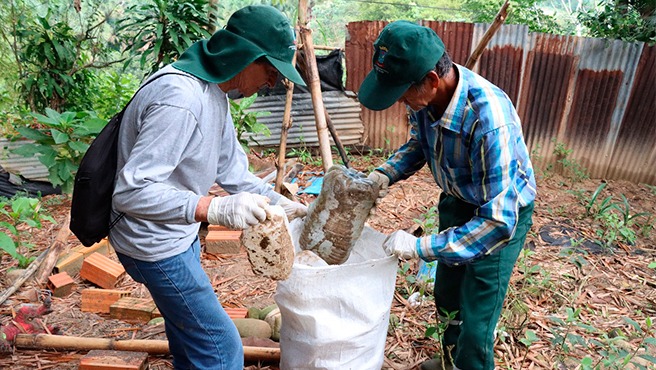Minsa destina más de S/14 millones para continuar acciones de prevención y control del dengue en 16 regiones