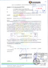 Vista preliminar de documento 1291-2025-GIDUyR-MPO/RGOR