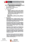 Vista preliminar de documento TDR 2945