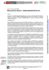 Vista preliminar de documento RU-0049-2025-MIDIS-PNPAIS-UPS