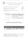 Vista preliminar de documento RESULTADO DEL MEMORANDO DE REQUERIMIENTO N° 492-2025-SGPOP
