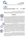 Vista preliminar de documento Resolucion Directoral N° 003554-2025