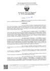 Vista preliminar de documento RDR Nº 1338-2025-GRSM-DRE