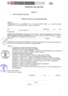 Vista preliminar de documento ANEXOS
