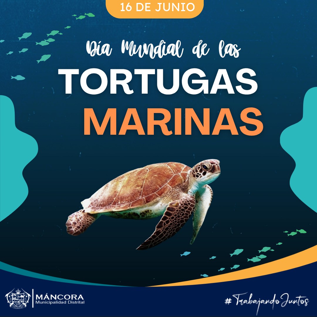 Dia Mundial de las  TORTUGAS MARINAS