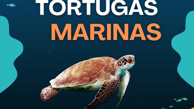 Dia Mundial de las  TORTUGAS MARINAS