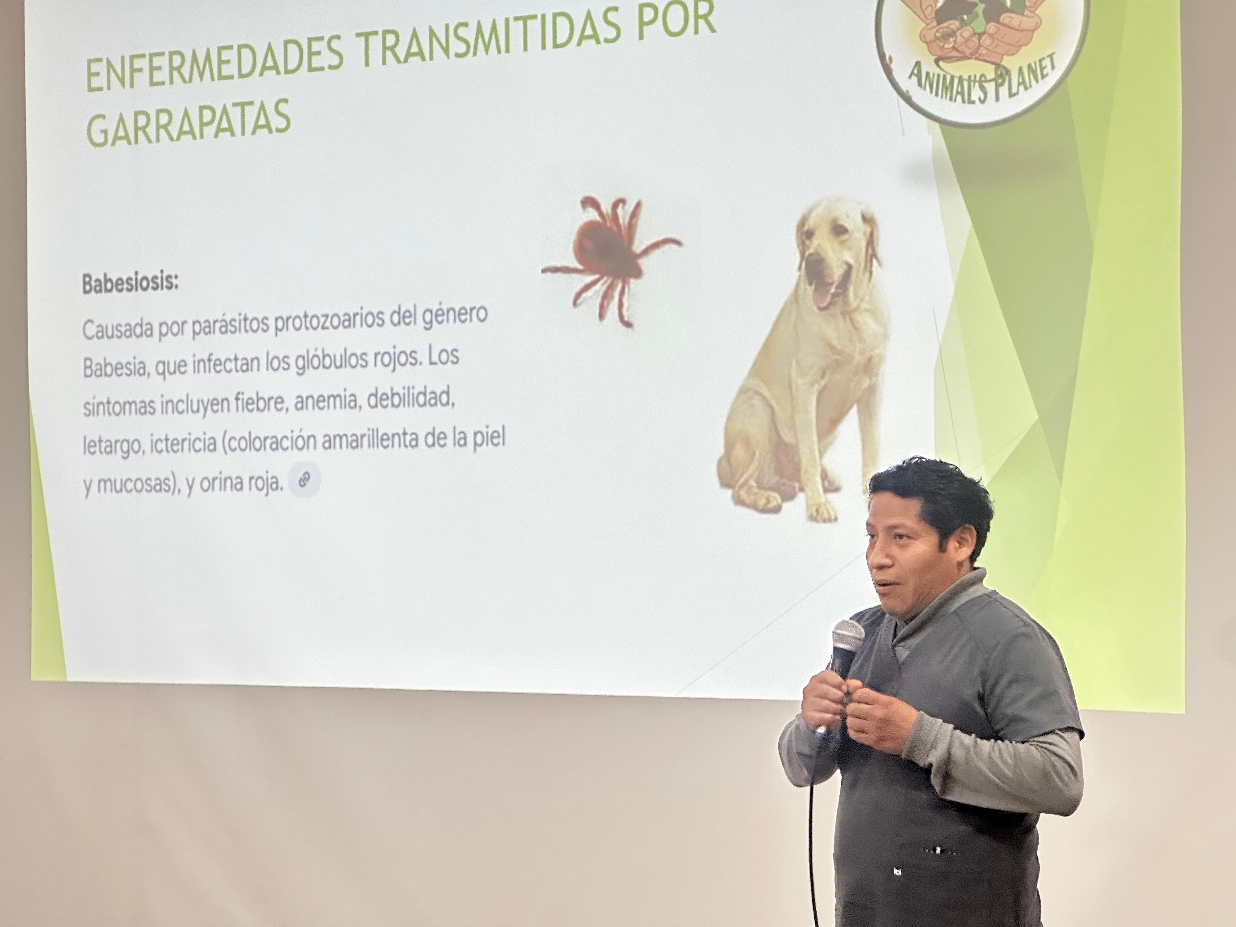 GORE Tacna sensibiliza a población de temidas garrapatas en las mascotas
