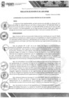 Vista preliminar de documento Composición CCLP 2025-2027 (R.A. N°391-2025-MPSM)