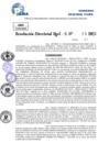 Vista preliminar de documento Resolucion Directoral N° 003558-2025