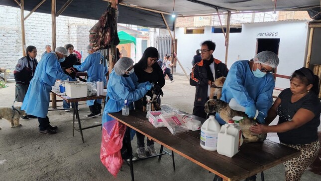 Municipalidad de Huaral realiza campaña gratuita de bienestar y salud animal en el sector de Huando