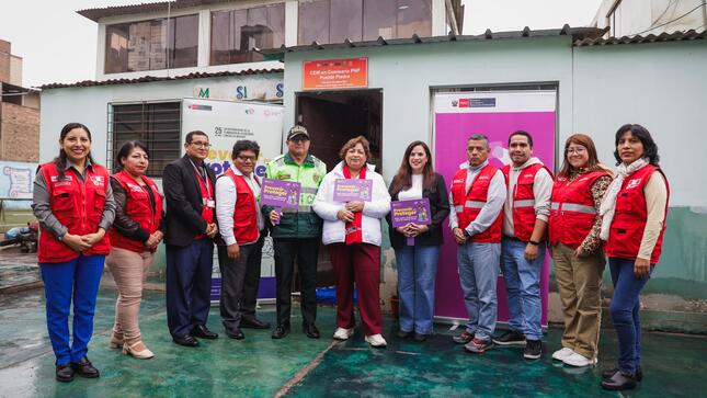 CEM Puente Piedra ha registrado 739 casos de violencia desde enero hasta mayo, siendo la violencia psicológica la de mayor incidencia