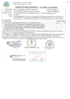 Vista preliminar de documento Orden de Requerimiento N° 201-2025