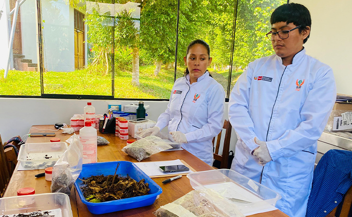 fotos del Instituto de Investigaciones de la Amazonía Peruana (IIAP)