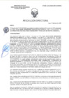 Vista preliminar de documento RD-2687-2025-DSAIA-DIRIS-LE-MINSA
