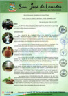 Vista preliminar de documento DIRECTIVA PARA RECIBIR DENUNCIAS MDSJL_compressed