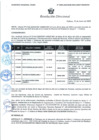 Vista preliminar de documento 606-2025