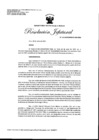 Vista preliminar de documento 155- Designación temporal DTM