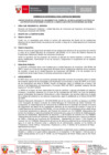 Vista preliminar de documento TDR