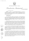 Vista preliminar de documento RM N° 209-2025-MINEM-DM