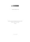 Vista preliminar de documento INFORME MULTIANUAL