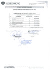 Vista preliminar de documento Resultados Finales de la Convocatoria CAS Transitorio N°005-2025-