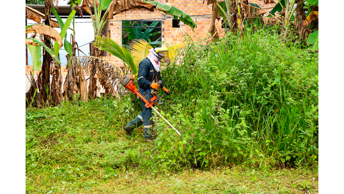 Continúan los trabajos de desmalezado en áreas verdes del sector Tarapotillo - Coperholta. 