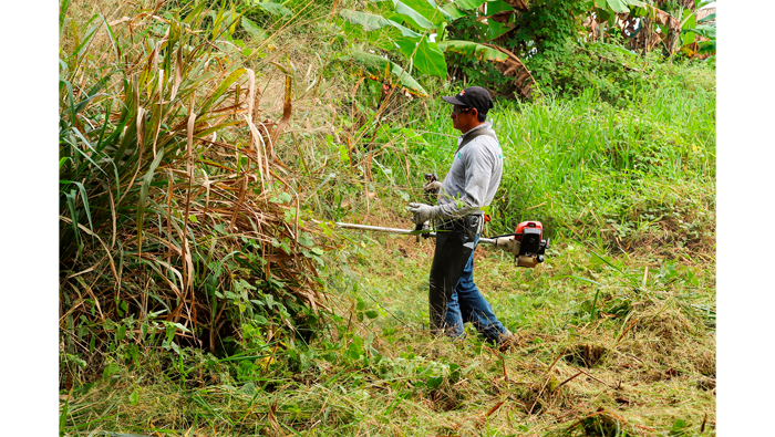 Continúan los trabajos de desmalezado en áreas verdes del sector Tarapotillo - Coperholta. 