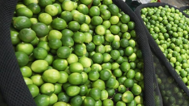 MIDAGRI