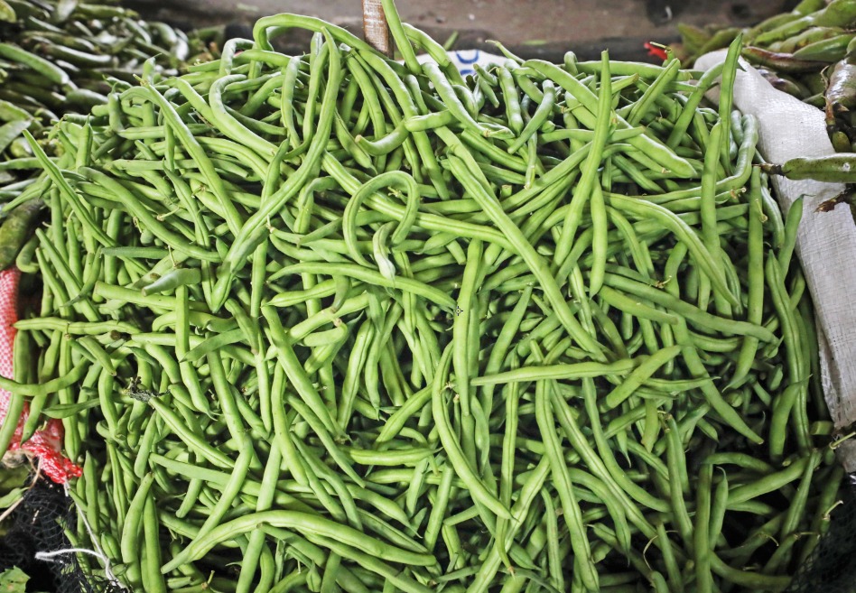 MIDAGRI