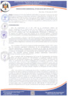Vista preliminar de documento RG 302-2025