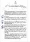Vista preliminar de documento Resolución Gerencial General Regional N°217-2025