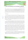 Vista preliminar de documento RESOLUCIÓN GERENCIAL Nº 130-2025-MPPA-A-GM-GDSE