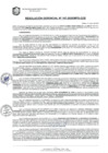Vista preliminar de documento RESOLUCION GERENCIAL Nº 167-2025-MPS-GDE