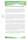 Vista preliminar de documento RESOLUCIÓN GERENCIAL Nº 113-2025-MPPA-A-GM-GDSE