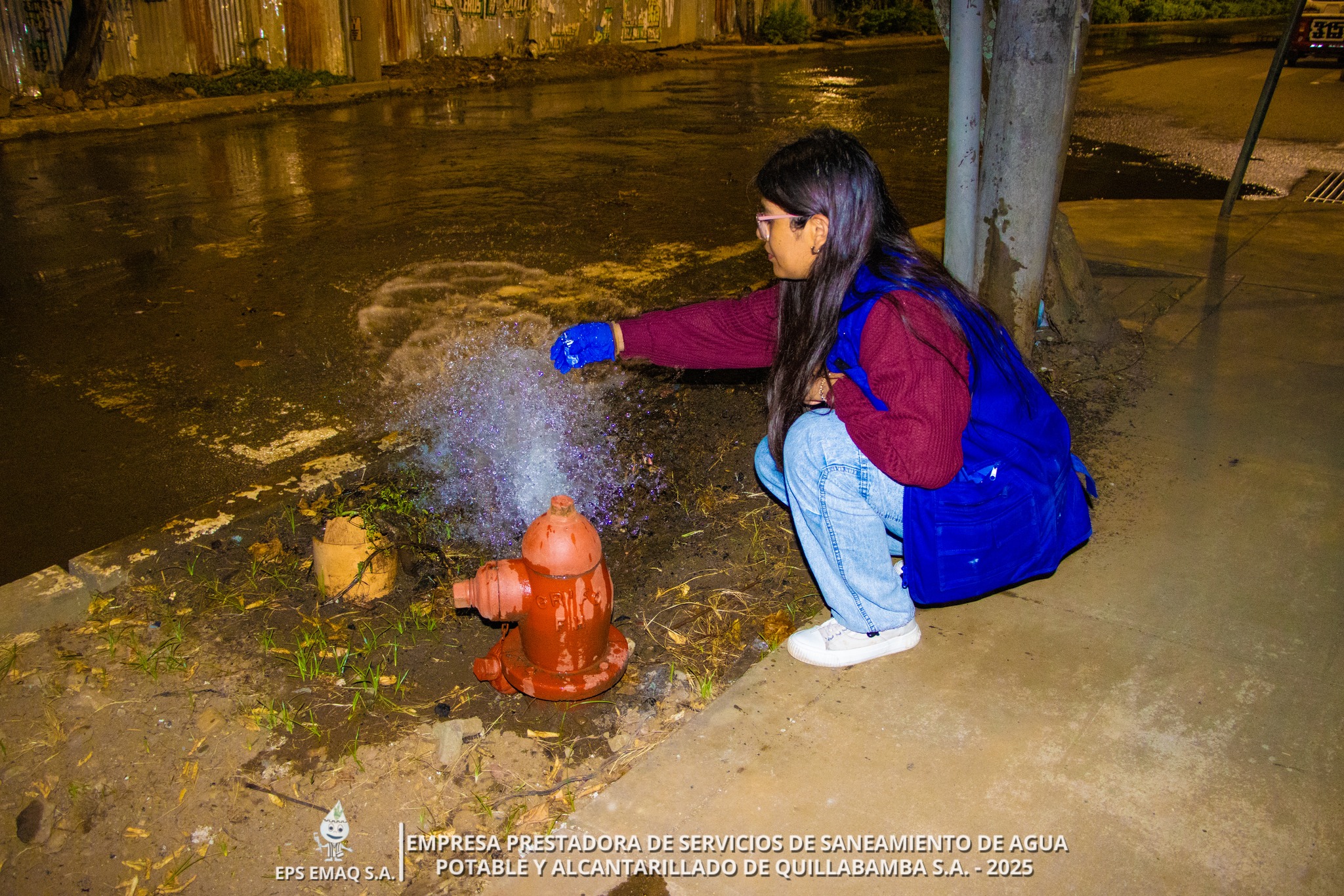 galería de fotos
