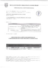 Vista preliminar de documento RESULTADO DEL MEMORANDO DE REQUERIMIENTO N°018-2025-ALC-MVES