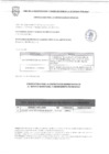 Vista preliminar de documento RESULTADO DEL MEMORANDO DE REQUERIMIENTO N°040-2025-SG-MVES