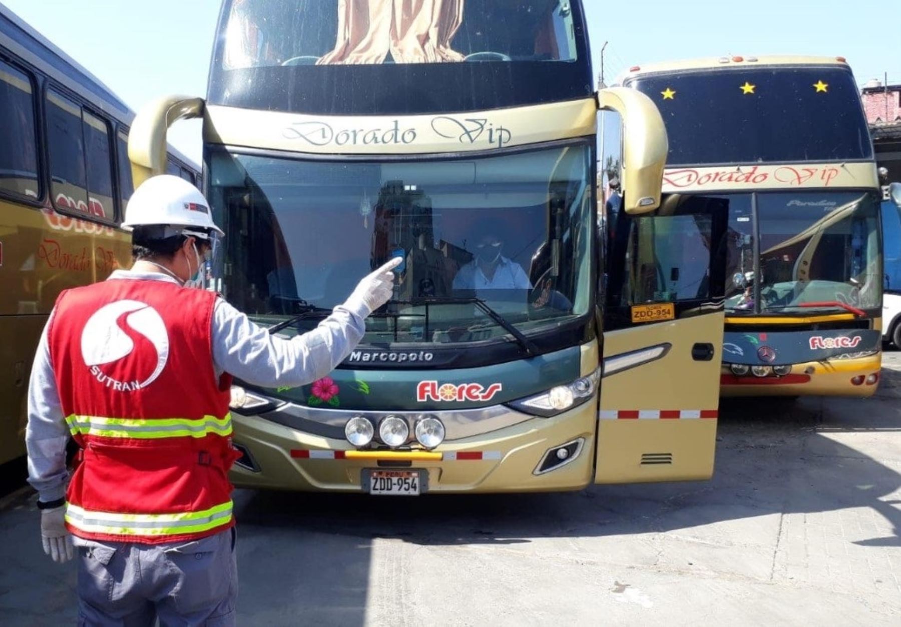 buses retorno humanitario
