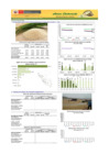 Vista preliminar de documento Boletín de ARROZ - 09/06/20