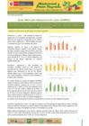 Vista preliminar de documento Boletín de Abastecimiento y Precios Mayoristas GMML y MM Nº2 -08/06/20